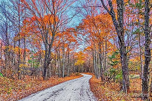 Autumn Back Road_P1210009-11.jpg - Photographed near Maberly, Ontario, Canada.